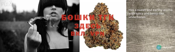 таблы Дмитриев