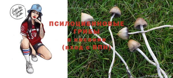 ECSTASY Дмитровск