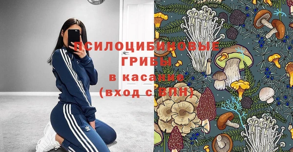 спайс Дмитров