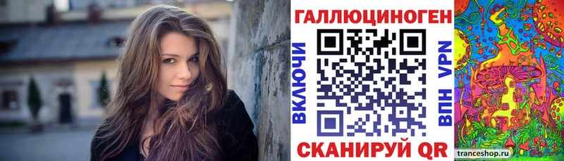 Псилоцибиновые грибы Psilocybe  Ермолино 